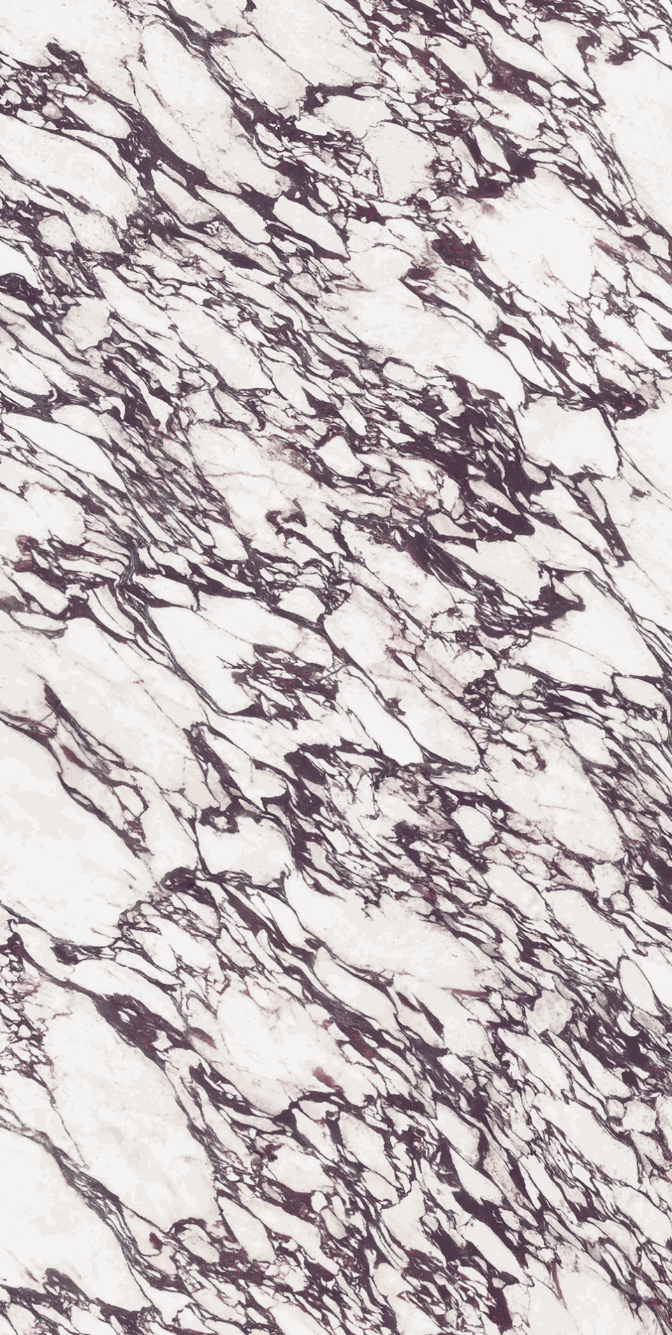 Calacatta Viola - Red and WHite Marble Look Porcelain Slab