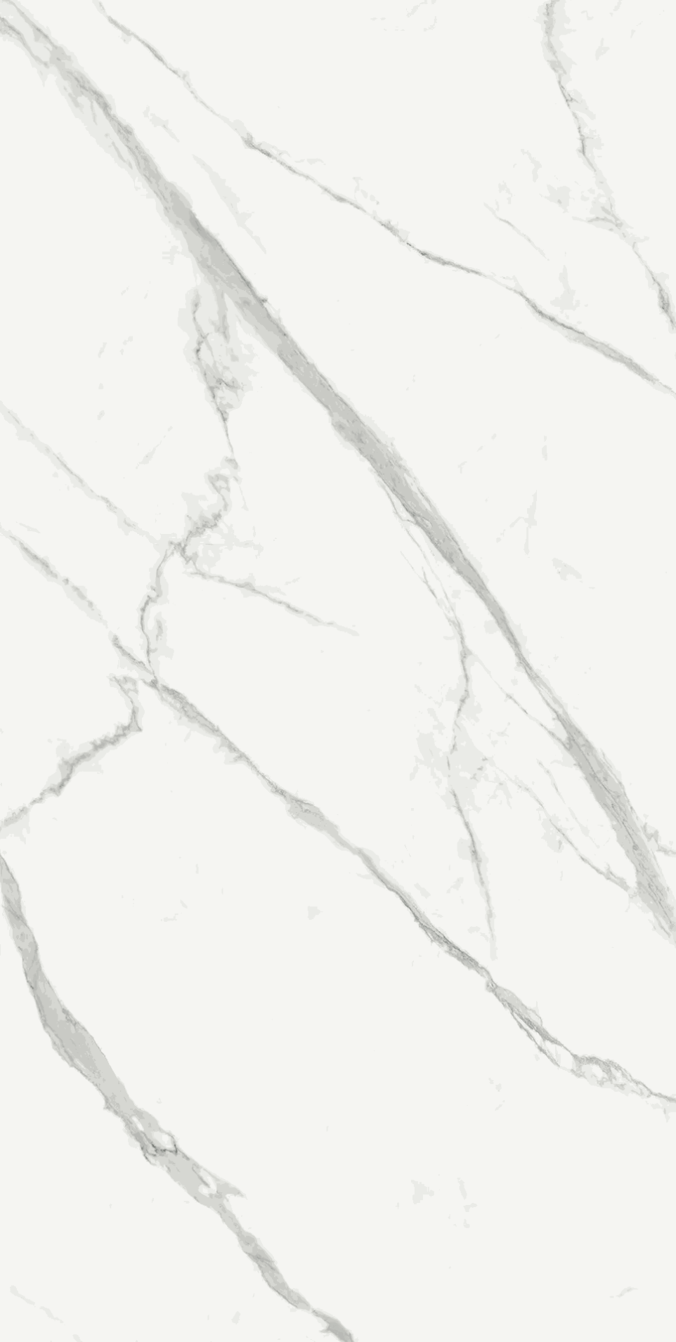 Extra Statuario - White Marble Look Porcelain Slab