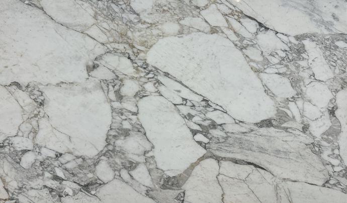 Calacatta Slab at Nova Tile and Stone showroom