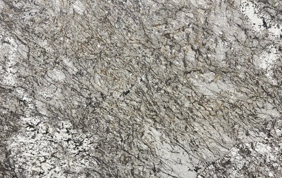 Avorio Slab at Nova Tile and Stone showroom