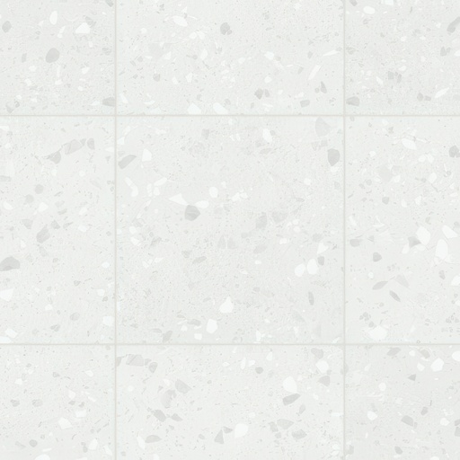 Terrazzo 24x24 Matte Finish Porcelain Tile (Terrazzo: Ice)
