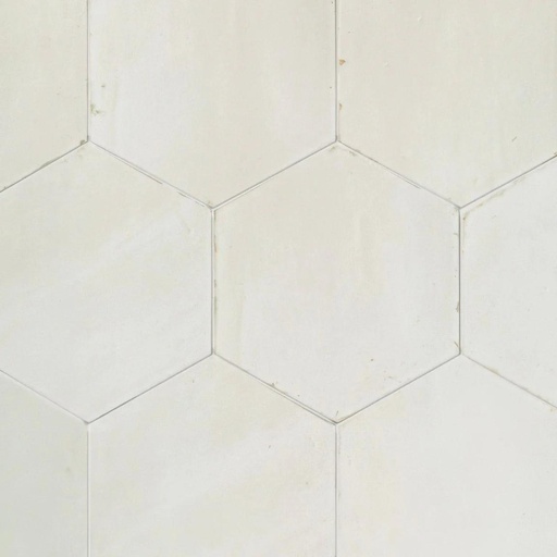 Odyssey 5.5x6.3 Hexagon Matte and Glossy Porcelain Tile (Odyssey: Bianco, Glossy)