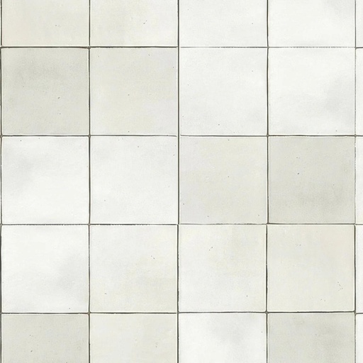 Odyssey 5x5 Square Matte and Glossy Porcelain Tile (Odyssey: Bianco, Glossy)