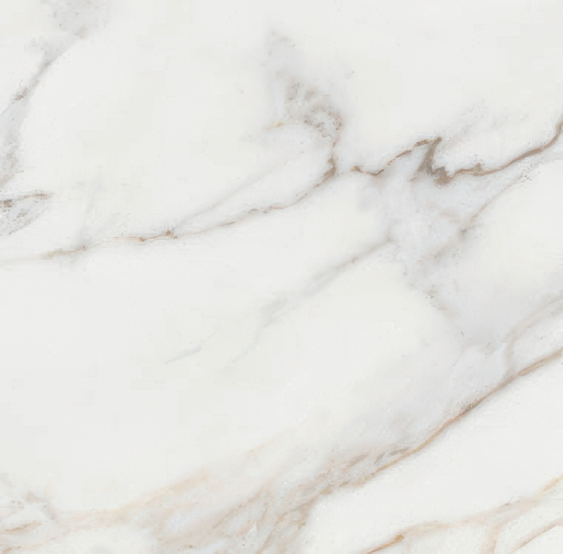 Epic 24x24 Satin or Polished Marble Look Porcelain Tile (Epic: Calacatta, Polished)