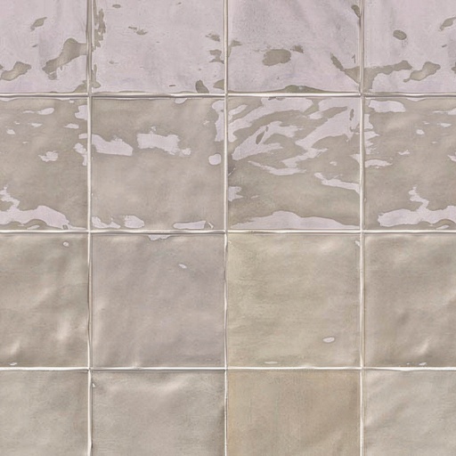 Fresco 6x6 Glossy Ceramic Decorative Wall Tile (Fresco: Brume)