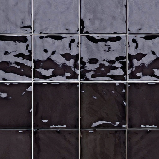 Fresco 6x6 Glossy Ceramic Decorative Wall Tile (Fresco: Charbon)