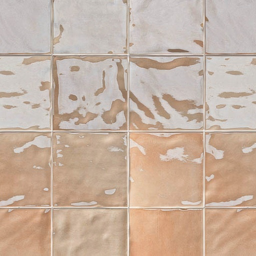 Fresco 6x6 Glossy Ceramic Decorative Wall Tile (Fresco: Graine)