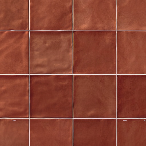 Fresco 6x6 Glossy Ceramic Decorative Wall Tile (Fresco: Brugnon)