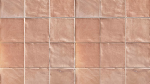 Fresco 6x6 Glossy Ceramic Decorative Wall Tile (Fresco: Flamant)