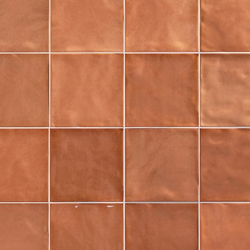 Fresco 6x6 Glossy Ceramic Decorative Wall Tile (Fresco: Madarine)