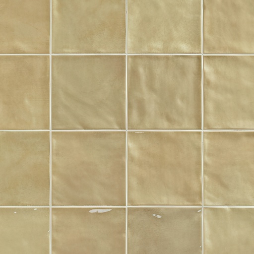 Fresco 6x6 Glossy Ceramic Decorative Wall Tile (Fresco: Sauge)