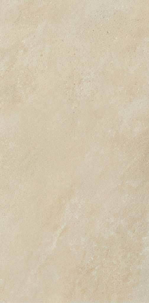 Enlightenment 16x32 Matte Cement Look Porcelain Tile