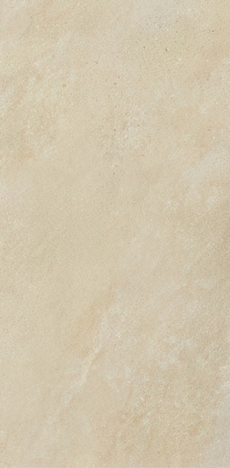 Enlightenment 16x32 Matte Cement Look Porcelain Tile (Enlightenment: Buff)