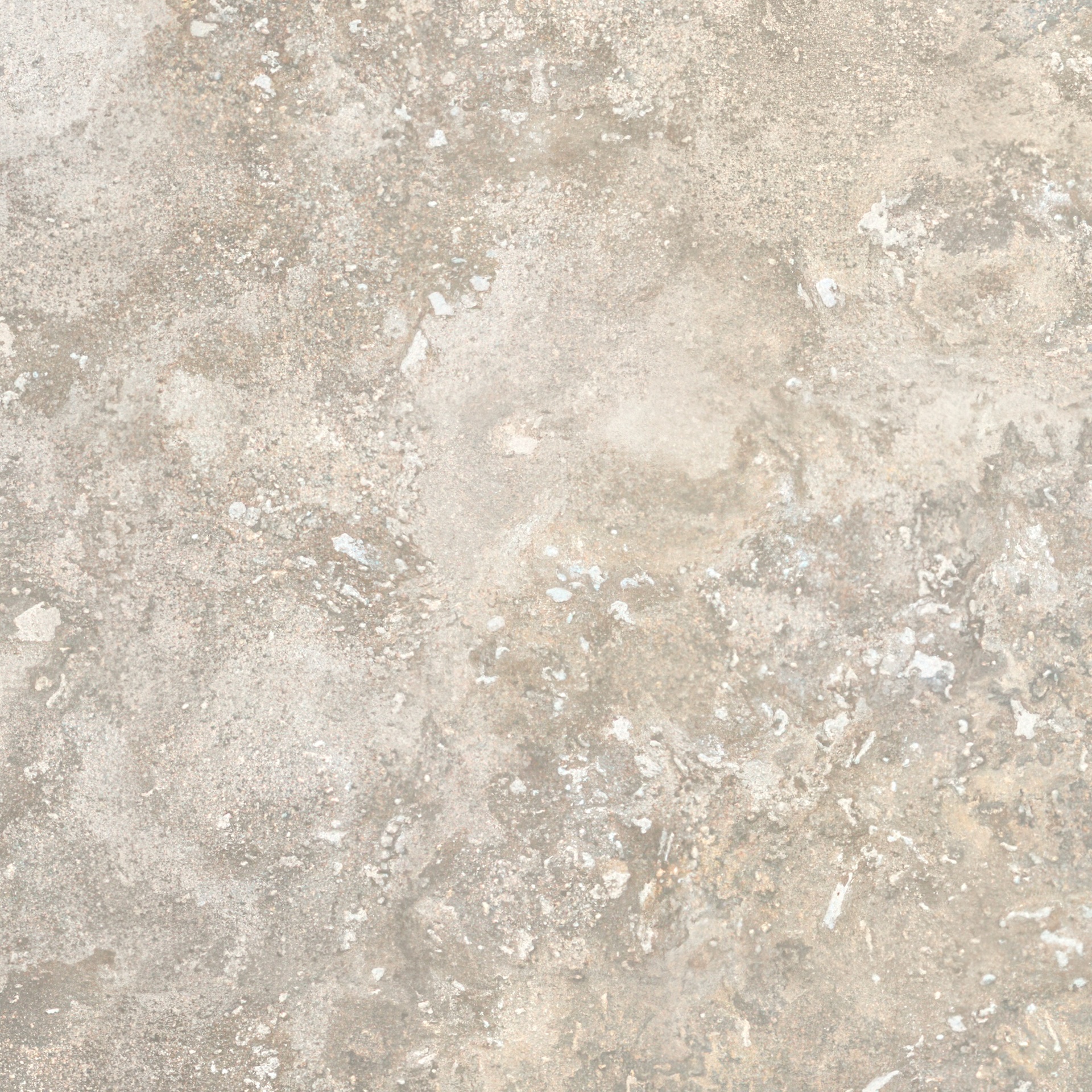 Fantasy 24X24 Natural or Lappato Finish Travertine Look Porcelain Tile (Fantasy: Noce, Natural)