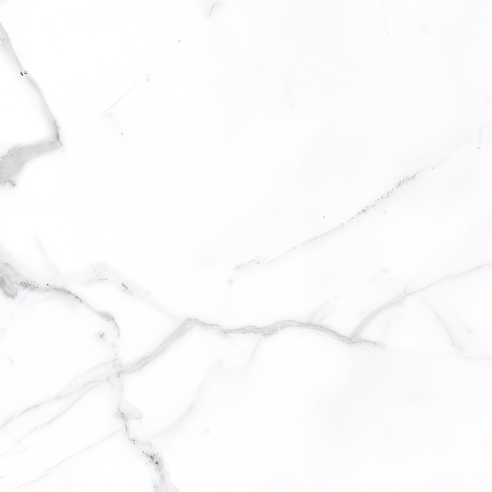 Voyage 24x24 Honed or Polished Marble Look Porcelain Tile (Voyage: Statuario, Polished)