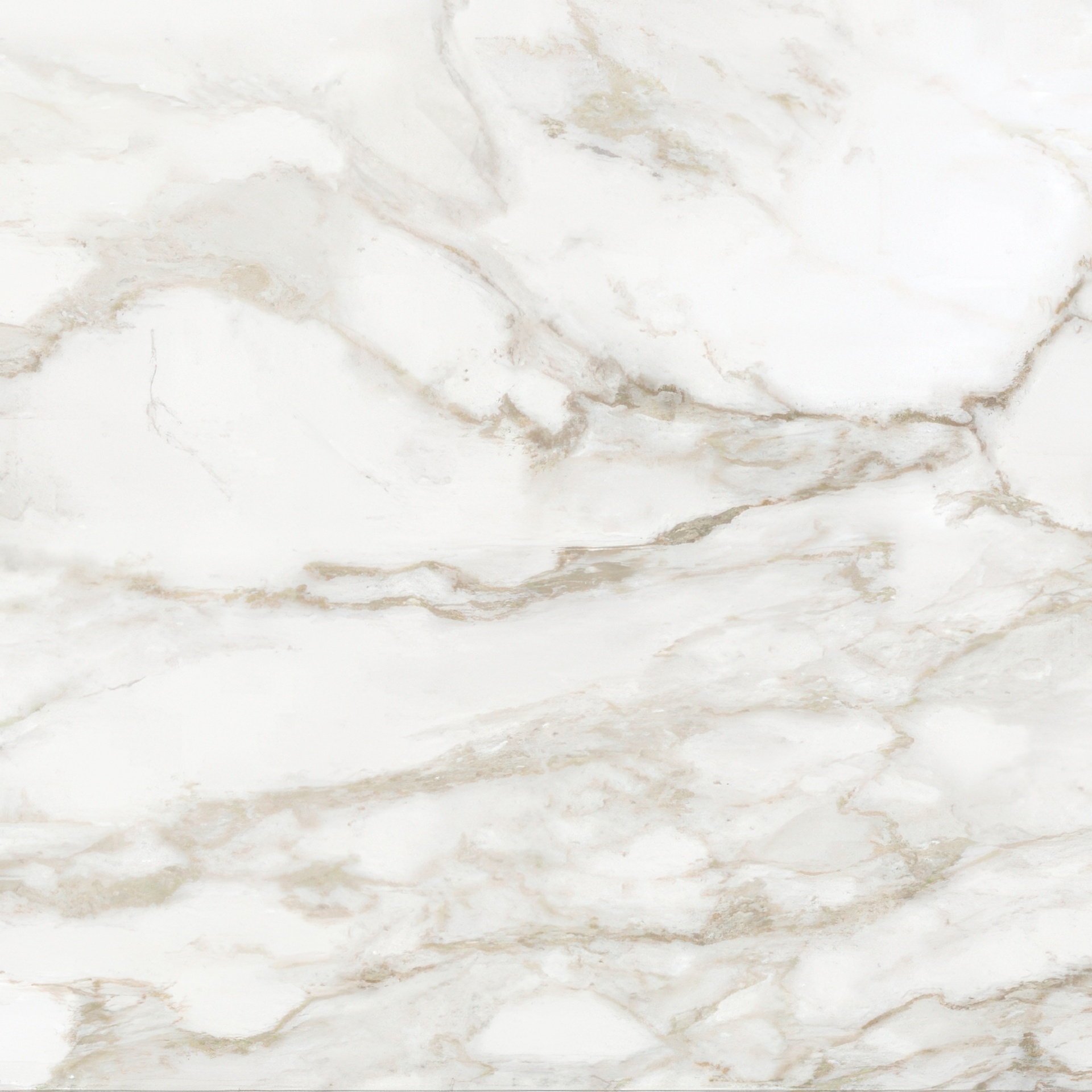 Mozart 24x24 Honed or Polished Marble Look Porcelain Tile (Mozart: Calacatta Paonazzo, Honed)