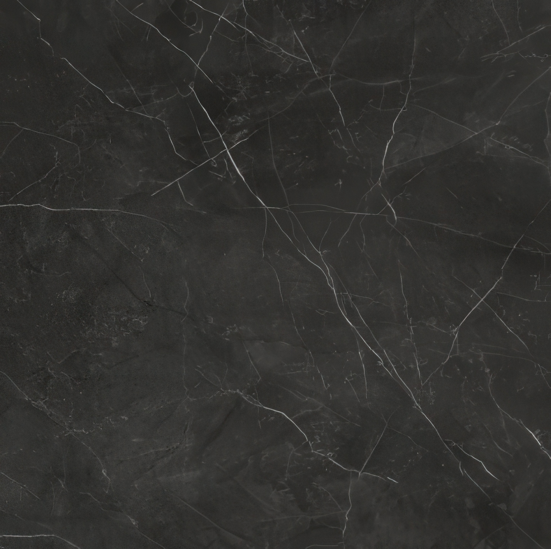 Mozart 24x24 Honed or Polished Marble Look Porcelain Tile (Mozart: Nero Venato, Honed)