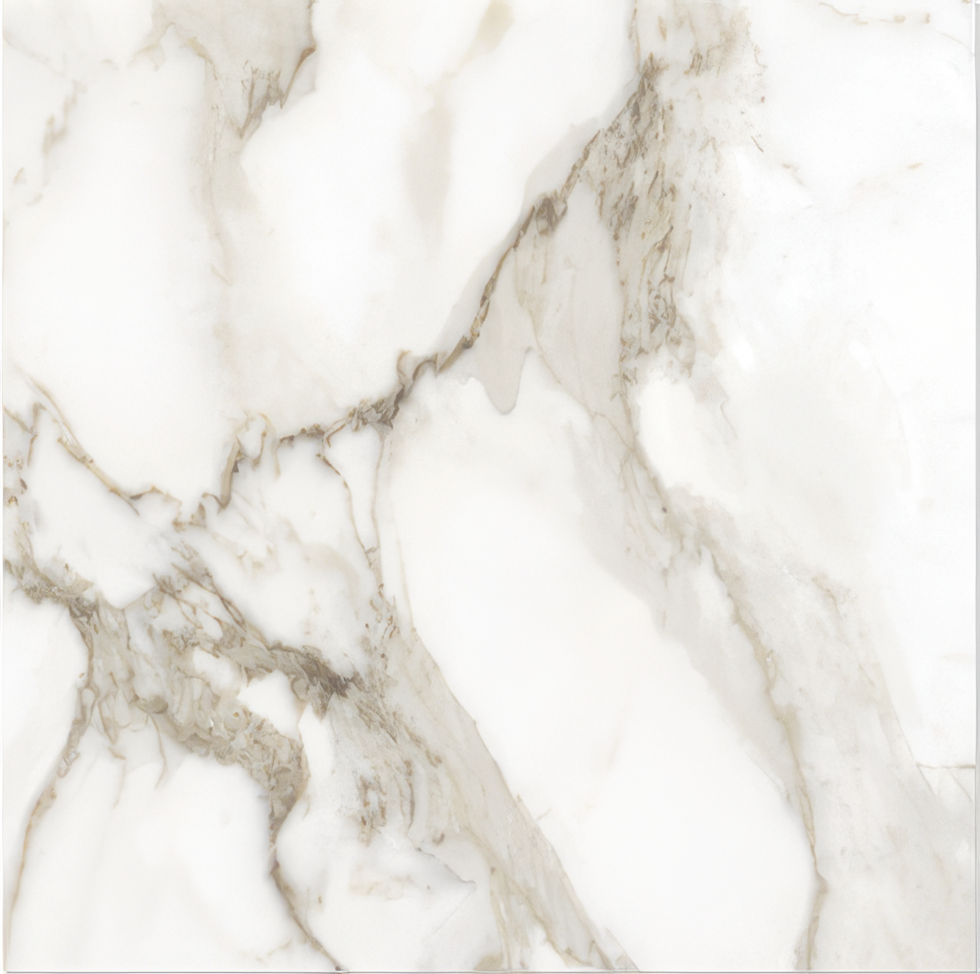Mozart 24x48 Honed or Polished Marble Look Porcelain Tile (Mozart: Arabescato, Honed)