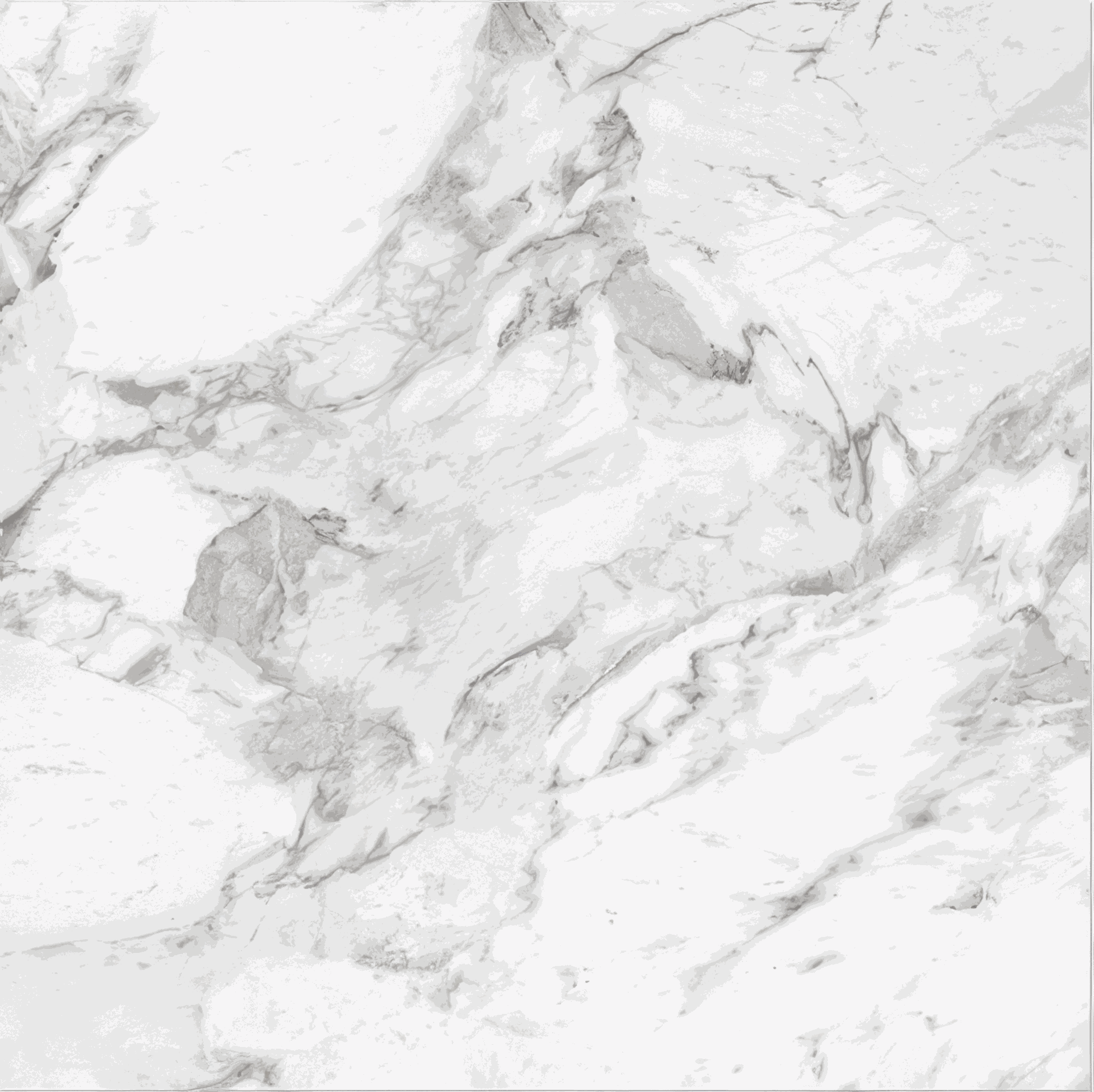 Mozart 32x32 Honed or Polished Marble Look Porcelain Tile (Mozart: Arabescato, Honed)