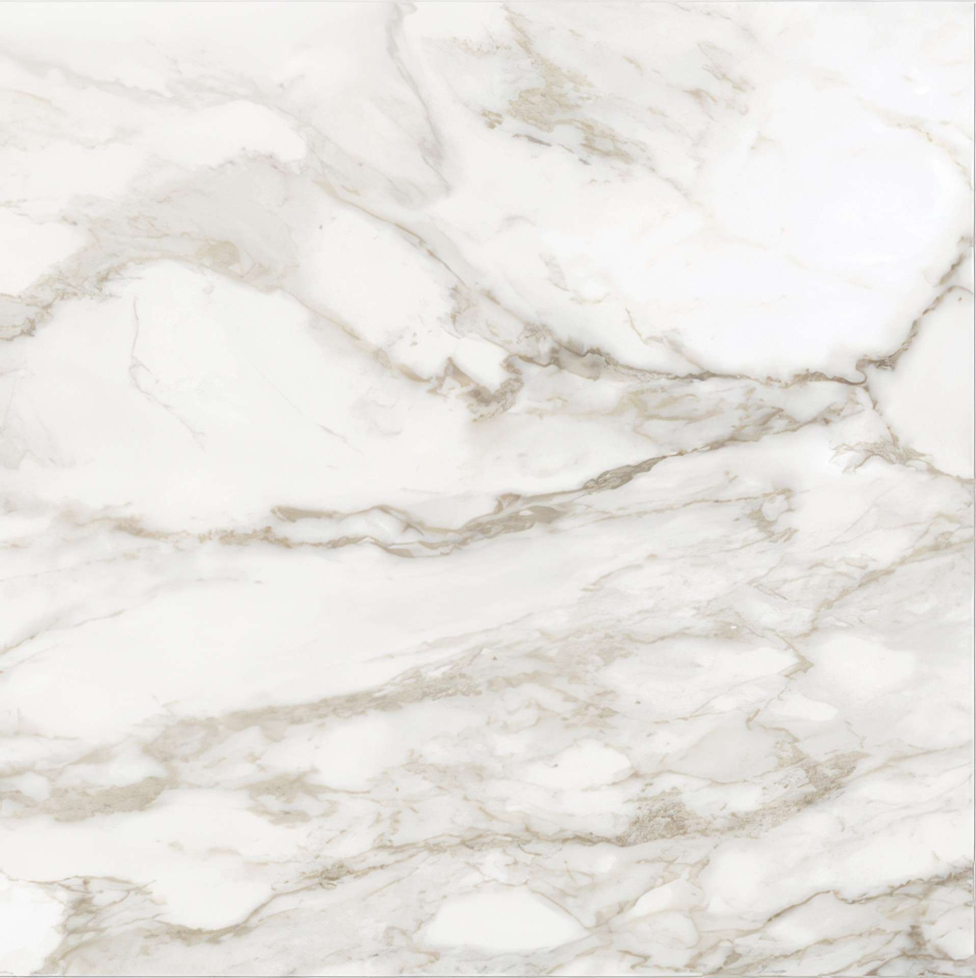 Mozart 32x32 Honed or Polished Marble Look Porcelain Tile (Mozart: Calacatta Paonazzo, Polished)