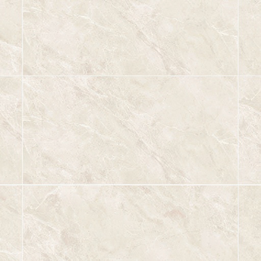 Venezia 24x48 Polished Marble Look Porcelain Tile (Venezia: las Palmas)
