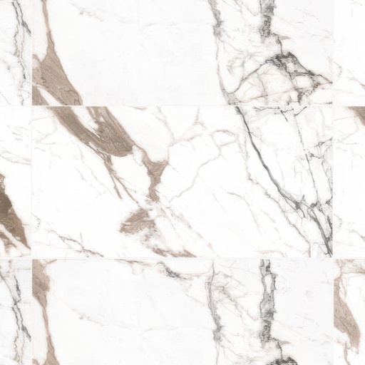 Venezia 24x48 Polished Marble Look Porcelain Tile (Venezia: paonazzo)