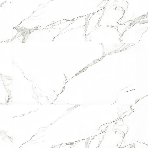 Venezia 24x48 Polished Marble Look Porcelain Tile (Venezia: Zenith)
