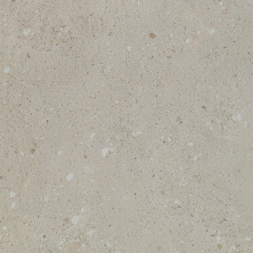 City Sidewalk 24x48 Matte Cement Look Porcelain Tile